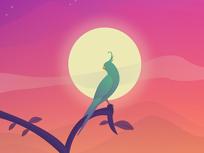Bird Of Paradise bird branch clouds cockatoo illustration leaf morning mountains parrot sunrise tree