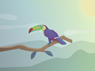 Bird Of Paradise 2 bird branch clouds colourful illustration leaf morning mountains sunrise toucan tree