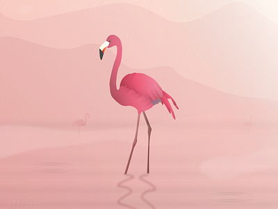 Bird Of Paradise 4 bird early flamingo fog illustration misty morning mountains ripple sunrise water