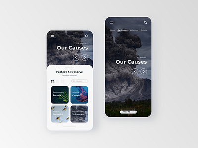 Non-profit App UI Concepts