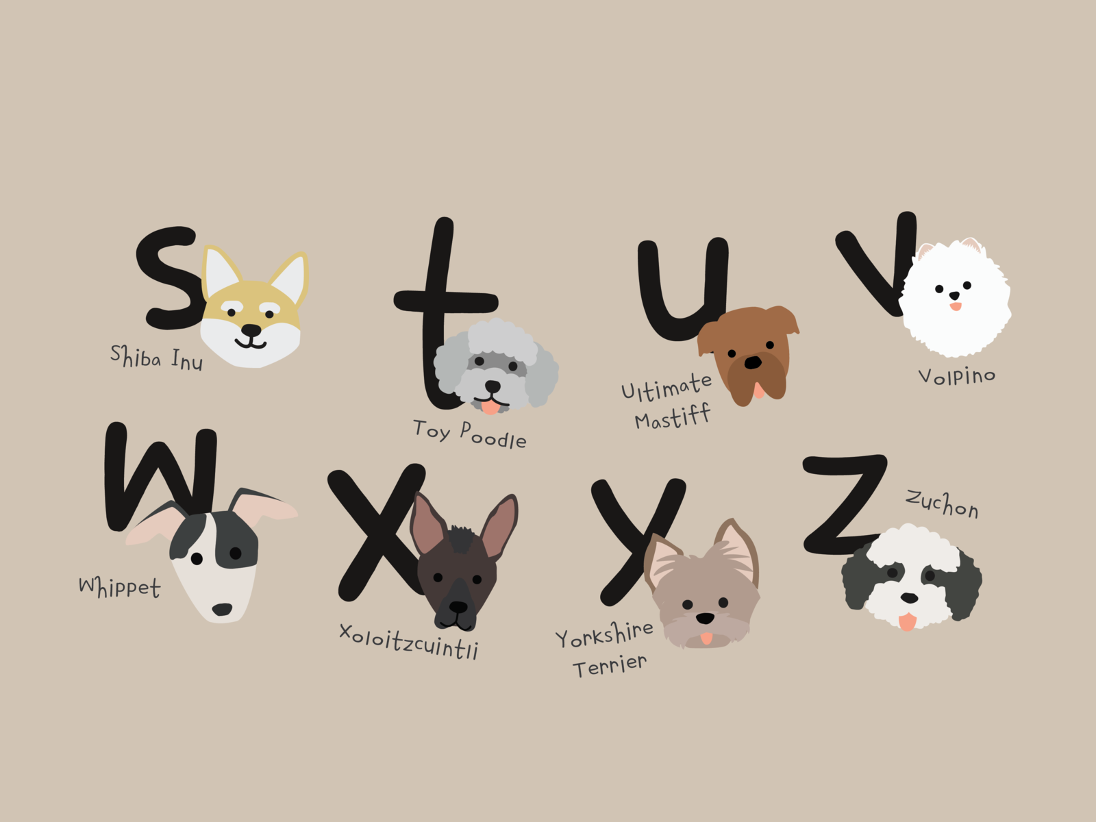 Alphabet Dog Poster by Sunny Kim on Dribbble