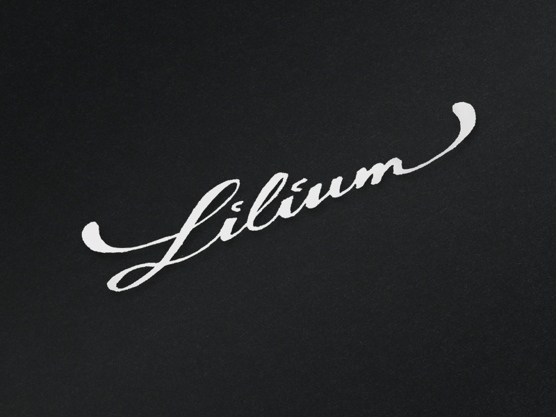 Lilium sketch script logo branding l lilium type flower spa draw lettering draft