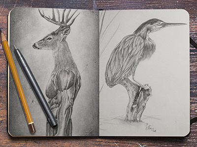 Sketches art character design illustrations pencil sketches