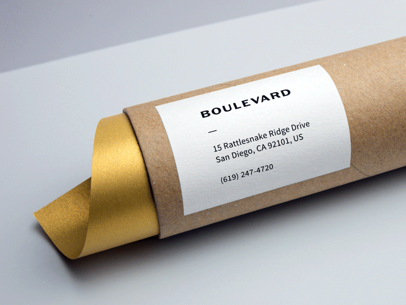 Boulevard Brand Identity appointment brand branding collateral elite envelope logo logotype paper stamp type typography