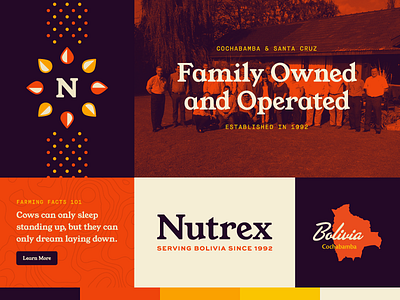 Nutrex Rebrand – Color Palette Exploration agriculture bolivia branding farming international logo logomark logotype pattern rebrand south america typography