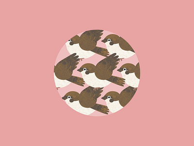Sparrow bird illustration pattern sparrow texture vector