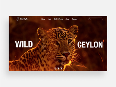 Wild Ceylon app branding design eco minimal ui ux web website wild cat