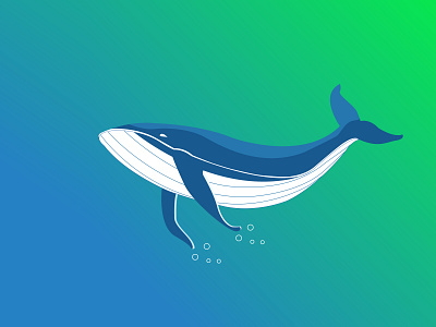 Humpback Whale Plays in Water art artist colorful creative flat graphic design humback whale illustration illustrator minimal sketch vector whale