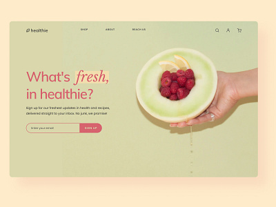 Landing Page Design for Health Food Store