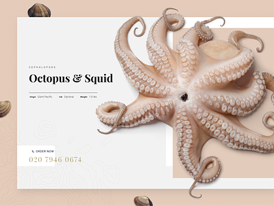 Octopus Product Page UI ecommerce fish food gallery header hero octopus product seafood ui web webdesign
