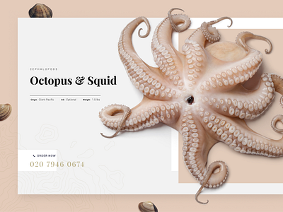 Octopus Product Page UI