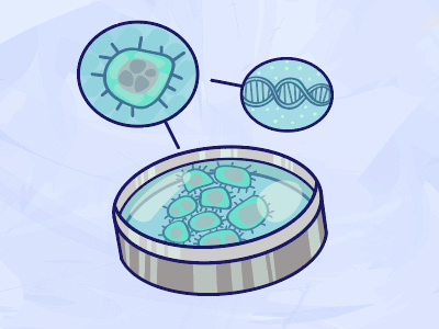 Evolution : Cells and DNA cells dna evolution illustration science vector