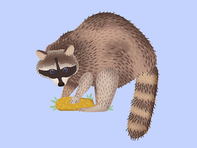 Raccoon 1 animals illustration raccoon texture vector wildlife