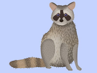Raccoon Dribbble 4 animals illustration raccoon texture vector wildlife
