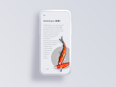 KOI Fish App app design mobile app ui ux