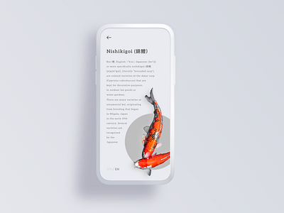 KOI Fish App