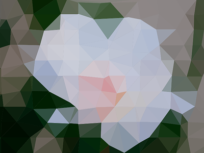 Triangulated rose delaunay processing rose