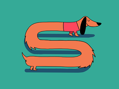 My Little Dachshund character dachshund design dog illustration pet