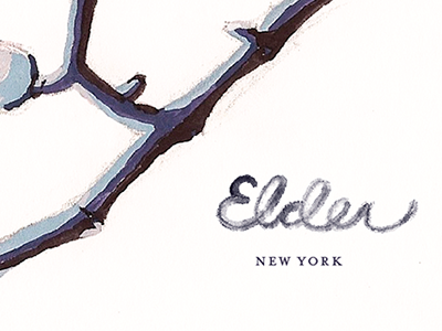 Elder Logo branding hand drawn type logo typography