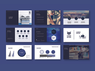 STEMisFEM presentation template