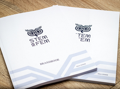 STEM is FEM brand brandbook branding design female graphic design graphicdesign identity logo logo design logodesign logotype