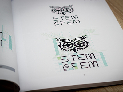 STEM is FEM