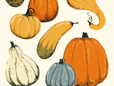 Sunday Punday No. 045: Oh my gourd autumn fall gourds illustration procreate pumpkins pun retro squash vintage