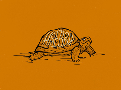 Sunday Punday No. 012 hand lettering illustration lettering procreate pun retro shell tortoise turtle type vintage