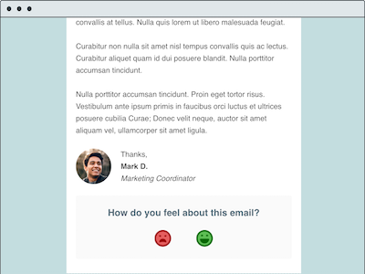 Survey - Email Template email email design nps sentiment survey