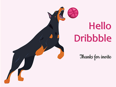 Doberman Catching Ball doberman pinscher first shot hello dribbble