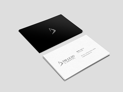 Tri-lead Business Card branding businesscard capital logo