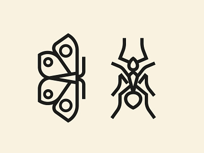 And Ant ant butterfly icon illustration insect lineart logo moth pictogram thickline vector