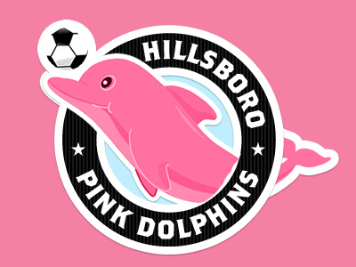 Pink Dolphins soccer