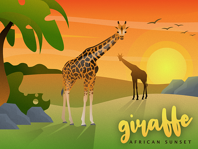 Giraffe African Sunset