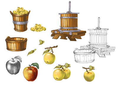 Set of different illustrations apple drawing fruits garden handdraw icon icons illustaration juice product sketch vintage