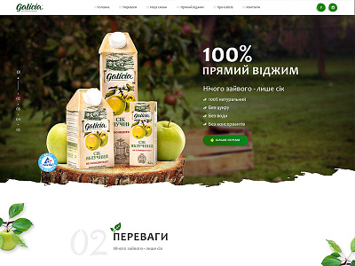 Landing page for Galicia promo company business eco food health juice landing onepage product promo web design
