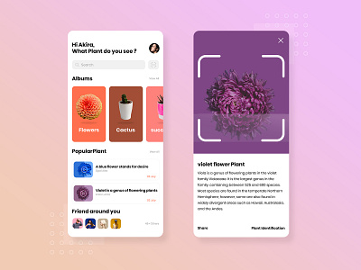 Plant Identifier Application designs, themes, and downloadable graphic elements Dribbble