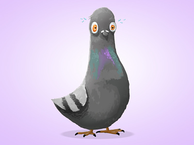 Pigeon Character 2d character drawing illustration pigeon