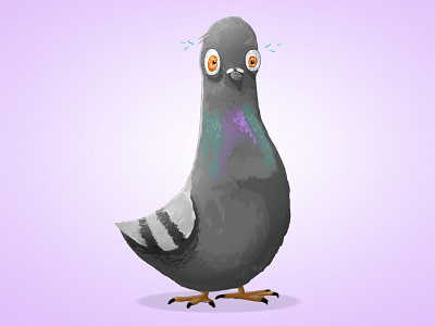 Pigeon Character