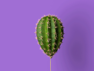 Balloon Cactus