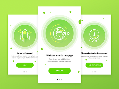 Datacappy app application design dribbble inspiration intro ios mobile screens