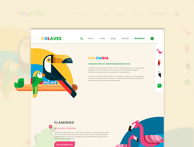 Aves Website app design designer inspiration ui