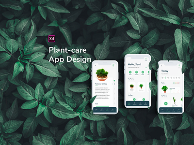 Plant care App Design