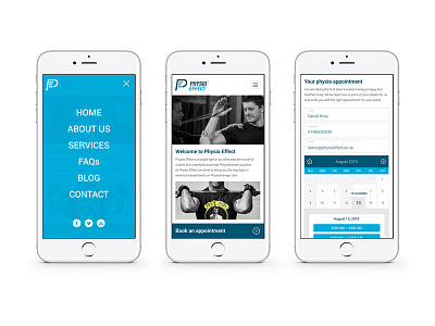 Physio Effect Mobile Site interface layout mobile physio ui