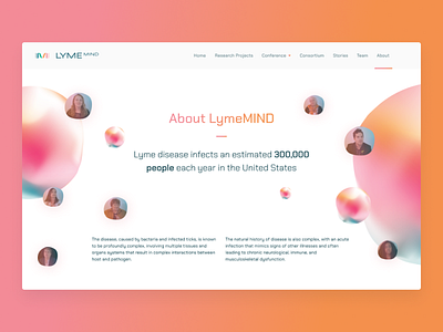 LymeMIND Website