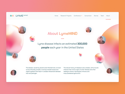 LymeMIND Website argentina branding design disease healthcare icon identity indicius logo lyme lymemind medicine mount sinai school