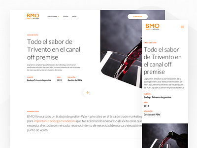 Bayton BMO - Case Study argentina bayton bmo btl case study design indicius marketing ui ux website