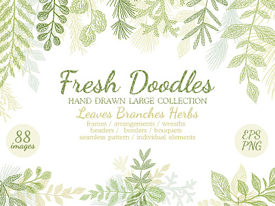 Vector Leaves Branches & Herbs Fresh Doodle collection