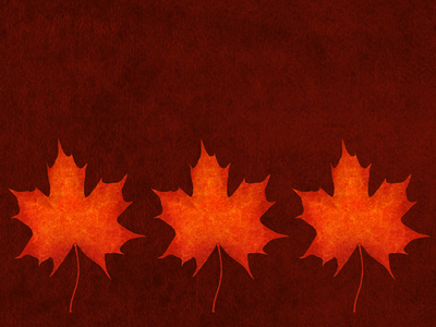 Wallpaper - Autumn Leaves