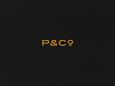 Horizontal P&Co Logo branding branding element design illustration logo system pco